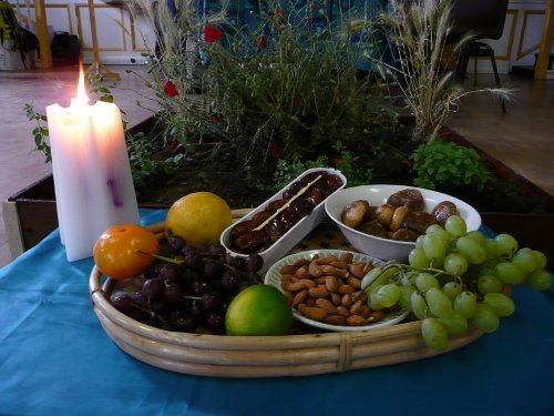 Tom McGrath July 2010